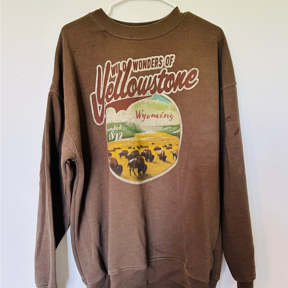 Brown Yellowstone Graphic Sweater